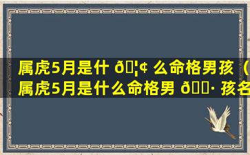 属虎5月是什 🦢 么命格男孩（属虎5月是什么命格男 🌷 孩名字）